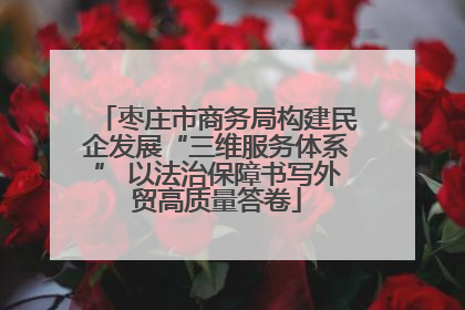 枣庄市商务局构建民企发展“三维服务体系” 以法治保障书写外贸高质量答卷