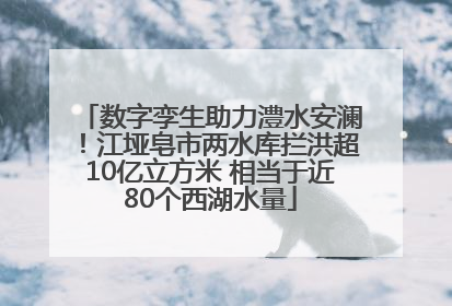 数字孪生助力澧水安澜！江垭皂市两水库拦洪超10亿立方米 相当于近80个西湖水量