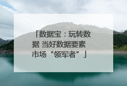 数据宝：玩转数据 当好数据要素市场“领军者”