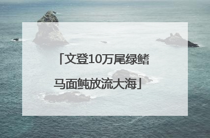 文登10万尾绿鳍马面鲀放流大海