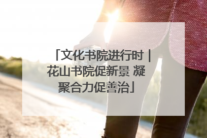 文化书院进行时｜花山书院促新景 凝聚合力促善治