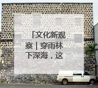 文化新观察｜穿雨林下深海，这里的文物普查不一般