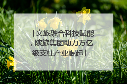 文旅融合科技赋能，陕旅集团助力万亿级支柱产业崛起