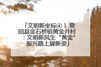 文明新坐标④丨 隆回县金石桥镇黄金井村：文明新风生“黄金” 振兴路上展新姿