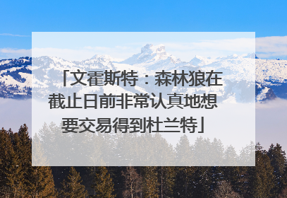 文霍斯特：森林狼在截止日前非常认真地想要交易得到杜兰特