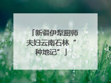 新疆伊犁厨师夫妇云南石林“种地记”