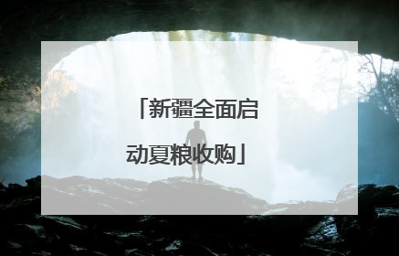 新疆全面启动夏粮收购