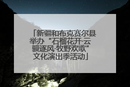 新疆和布克赛尔县举办“石榴花开·云骥逐风·牧野欢歌”文化演出季活动