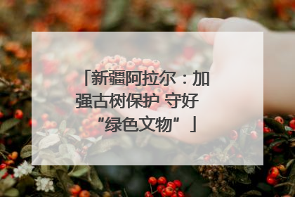 新疆阿拉尔：加强古树保护 守好“绿色文物”