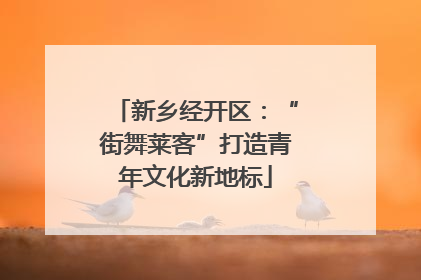 新乡经开区：“街舞莱客”打造青年文化新地标