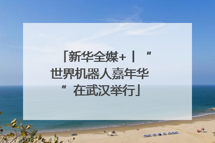 新华全媒+丨“世界机器人嘉年华”在武汉举行