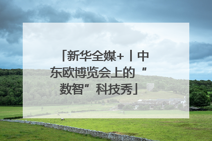 新华全媒+丨中东欧博览会上的“数智”科技秀