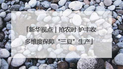新华视点｜抢农时 护丰收 多维度保障“三夏”生产