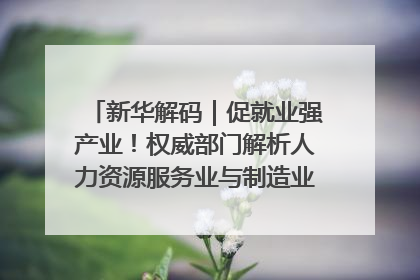 新华解码｜促就业强产业！权威部门解析人力资源服务业与制造业融合发展试点