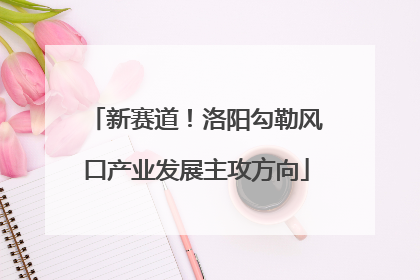 新赛道！洛阳勾勒风口产业发展主攻方向