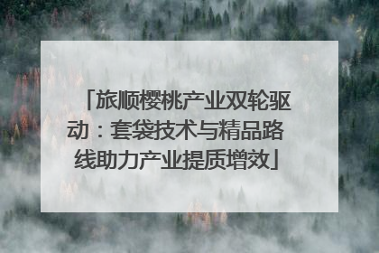 旅顺樱桃产业双轮驱动：套袋技术与精品路线助力产业提质增效