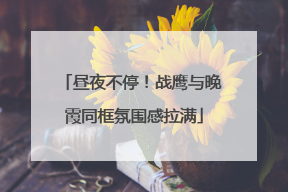 昼夜不停！战鹰与晚霞同框氛围感拉满