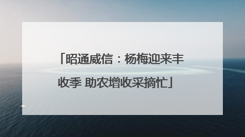 昭通威信：杨梅迎来丰收季 助农增收采摘忙