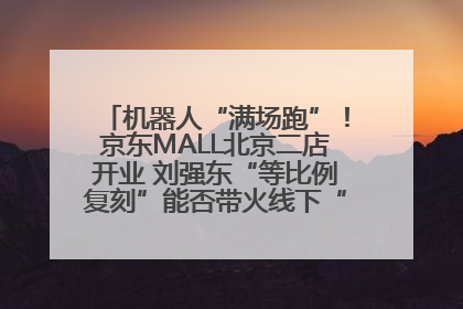 机器人“满场跑”！京东MALL北京二店开业 刘强东“等比例复刻”能否带火线下“618”？