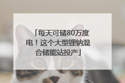 每天可储80万度电！这个大型锂钠混合储能站投产