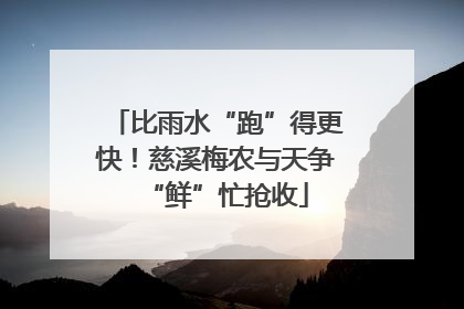 比雨水“跑”得更快！慈溪梅农与天争“鲜”忙抢收