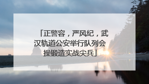 正警容，严风纪，武汉轨道公安举行队列会操锻造实战尖兵