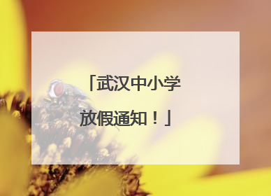 武汉中小学放假通知！