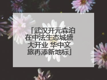 武汉开元森泊在中法生态城盛大开业 华中文旅再添新地标