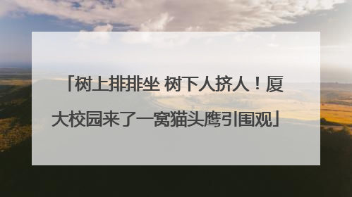 树上排排坐 树下人挤人！厦大校园来了一窝猫头鹰引围观