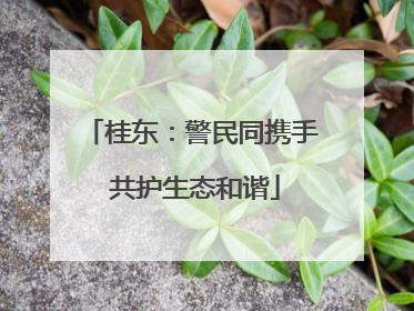 桂东：警民同携手 共护生态和谐