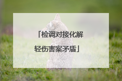 检调对接化解轻伤害案矛盾