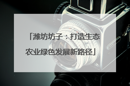 潍坊坊子：打造生态农业绿色发展新路径