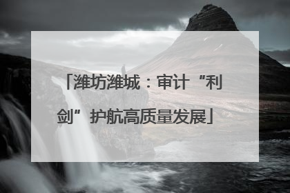 潍坊潍城：审计“利剑”护航高质量发展