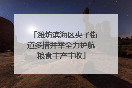 潍坊滨海区央子街道多措并举全力护航粮食丰产丰收