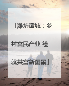 潍坊诸城：乡村富民产业 绘就共富新图景