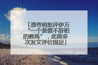 潘粤明批评伊万“一个装傻不辞职的教练”，此前多次发文评价国足