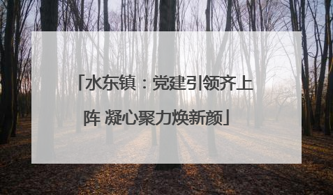 水东镇：党建引领齐上阵 凝心聚力焕新颜