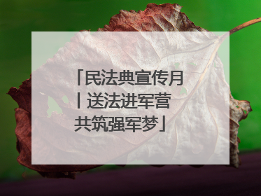 民法典宣传月丨送法进军营 共筑强军梦