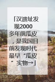 汉遗址发现2000多年前瓜皮，是我国目前发现时代最早“瓜皮”实物→