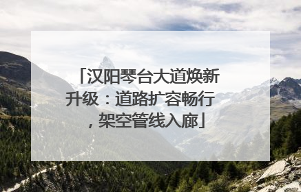 汉阳琴台大道焕新升级：道路扩容畅行，架空管线入廊