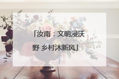 汝南：文明浸沃野 乡村沐新风