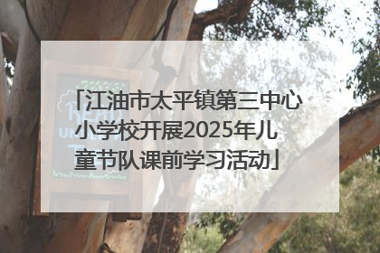 江油市太平镇第三中心小学校开展2025年儿童节队课前学习活动