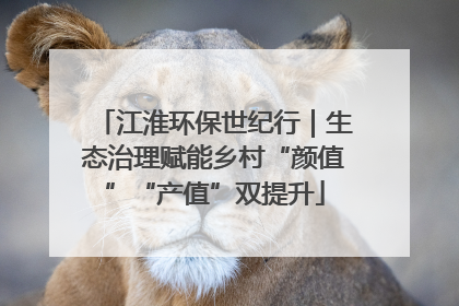 江淮环保世纪行｜生态治理赋能乡村“颜值”“产值”双提升