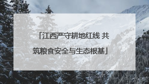 江西严守耕地红线 共筑粮食安全与生态根基