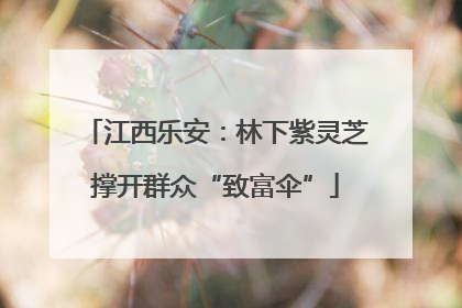 江西乐安：林下紫灵芝撑开群众“致富伞”