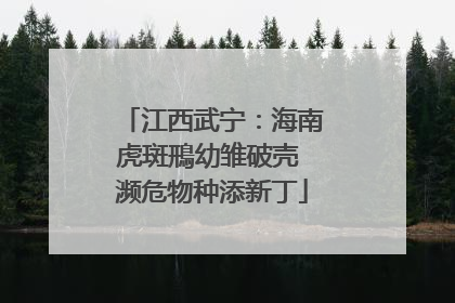 江西武宁：海南虎斑鳽幼雏破壳 濒危物种添新丁