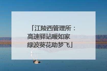 江陵西管理所：高速驿站暖如家 绿波葵花助梦飞