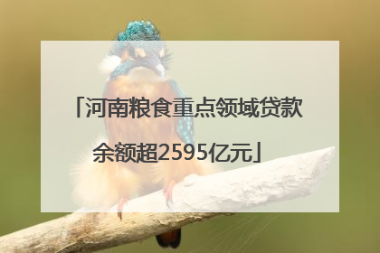 河南粮食重点领域贷款余额超2595亿元