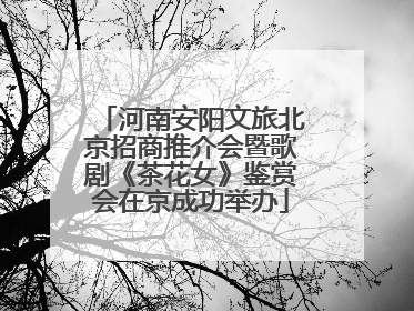 河南安阳文旅北京招商推介会暨歌剧《茶花女》鉴赏会在京成功举办