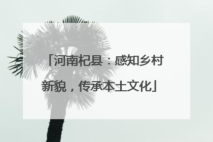 河南杞县：感知乡村新貌，传承本土文化